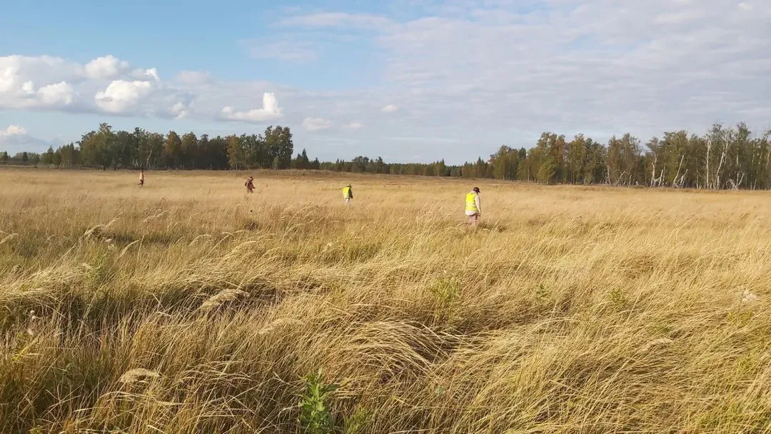 Волонтёры из Магнитогорска помогают в поисках пожилой жительницы