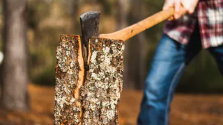 В Челябинской области мужчина незаконно вырубил деревьев на почти 4 миллиона рублей