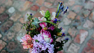 Как выявить и устранить нехватку калия у растений: подробное руководство