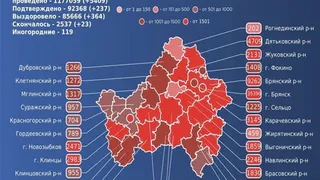 За сутки от коронавируса умерли 23 брянца