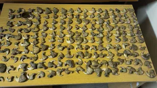 В Казани судебные приставы изъяли контрабанду на 1,5 млн рублей