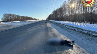 "Волга" насмерть сбила 30-летнего мужчину на М-7 в Чебоксарском округе