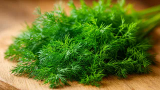 Укроп ращу только так - бабушкин метод: станет густым и насыщенным всего за 3 дня