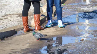 Слишком тепло не будет: прогноз погоды на следующую неделю