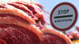 Брянское мясо будут продавать в Бразилии