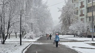 4 фразы, которые выдают глупую и невежественную женщину: мудрость Дмитрия Лихачева - обязана знать каждая 