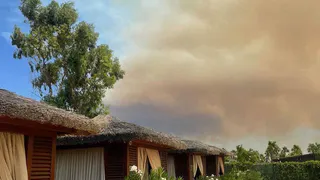 “Пепел плавает по воде”: рязанские туристы - о пожарах в Турции