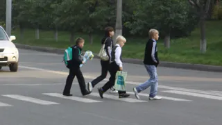 "Здесь пострадало немало людей" - рязанка пожаловалась на опасный пешеходный переход