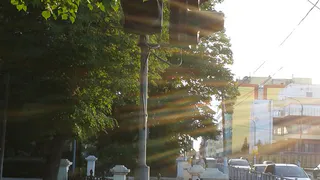 Из-за скрытых ветками светофоров рязанцы едут на запрещенный свет