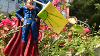 Тест по необычным флагам мира: угадайте, какие из них мы выдумали