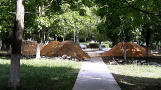 В Рязани благоустроят Комсомольский парк