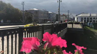 Уже в эти выходные резко похолодает: новый прогноз синоптиков