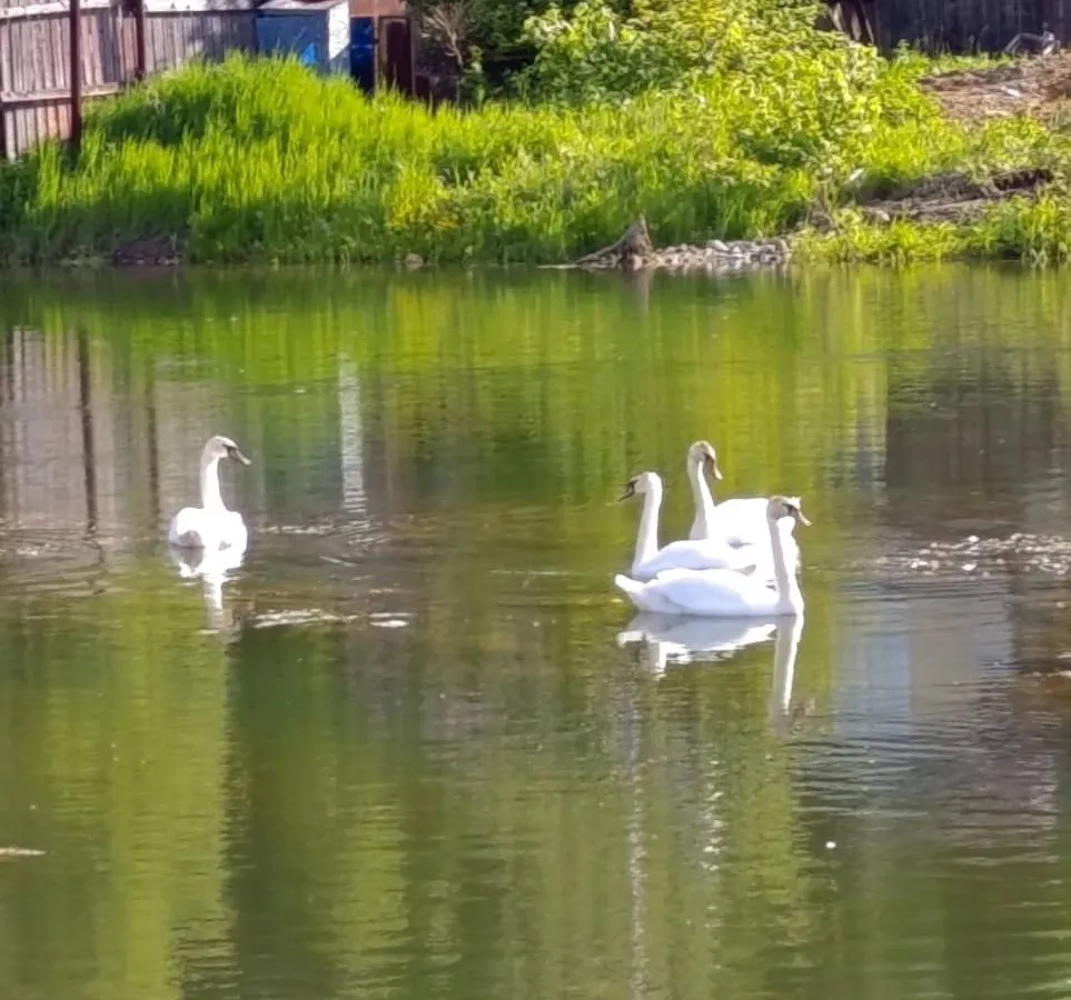 Финансовый поток откроется: какие знаки судьбы предвещают денежную удачу с 19 июня