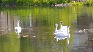 Финансовый поток откроется: какие знаки судьбы предвещают денежную удачу с 19 июня