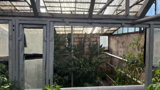 В ноябре готовлю теплицу к зиме: 200 г на метр почвы - и через неделю зеленого мха нет и в помине 