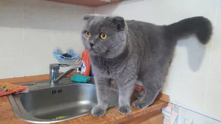 В Рязани на 9 улицах отключили воду из-за ремонта