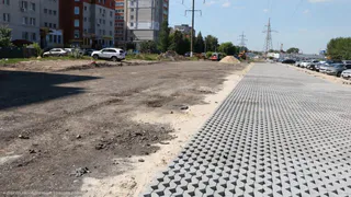 Экопарковка в Рязани? Не, не слышал! Рассказываем, что это такое