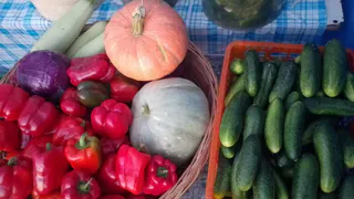 Жители Рязани приобрели три тонны овощей на ярмарках выходного дня 