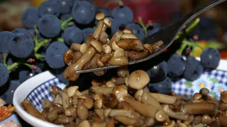 Самый правильный способ соления грибов - запомните этот рецепт раз и навсегда