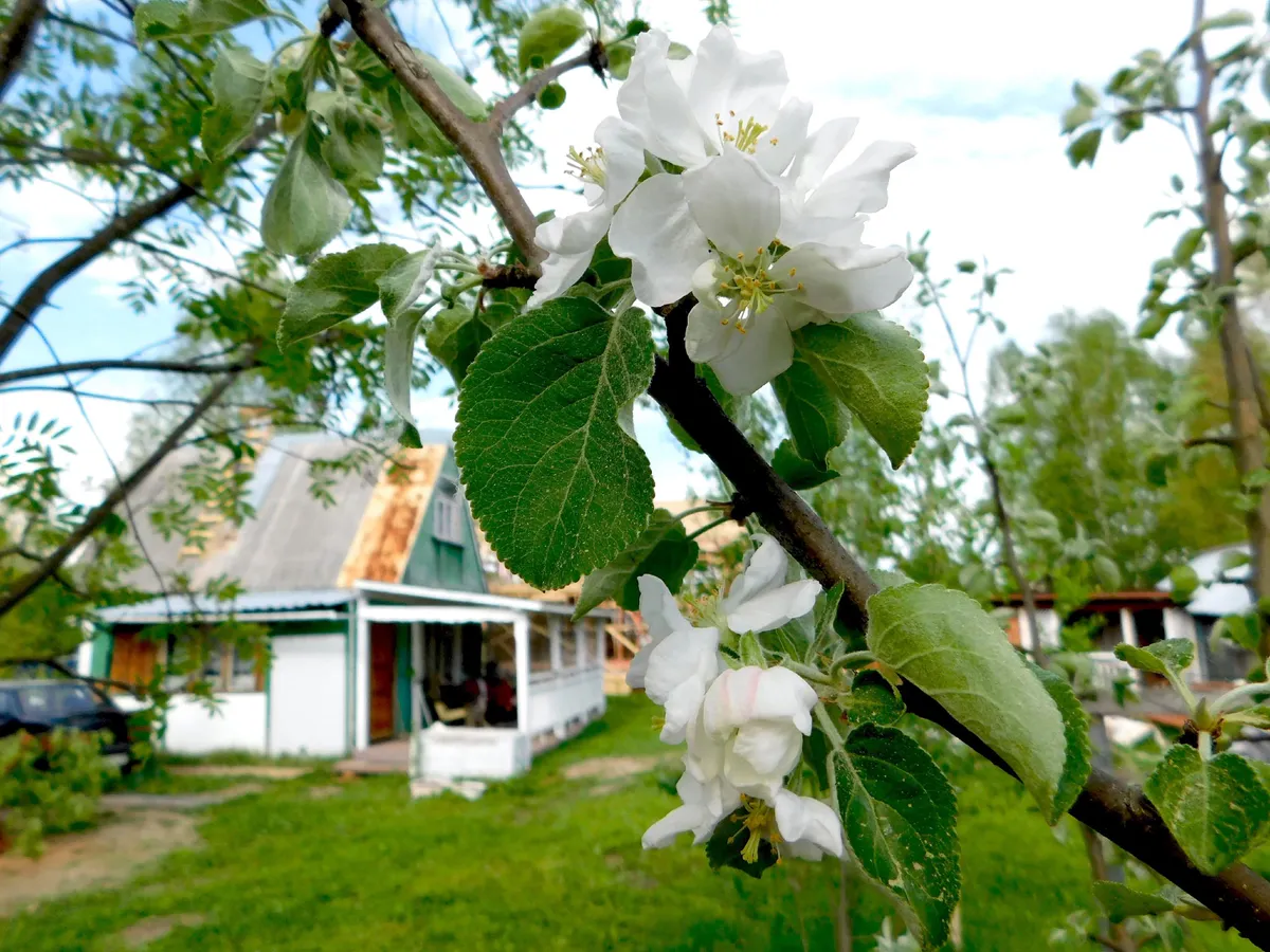 Лето наконец-то придет: Вильфанд назвал точную дату потепления в Центральной России