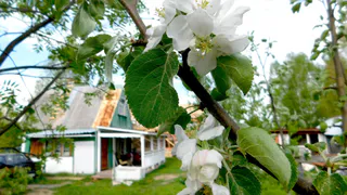 Лето наконец-то придет: Вильфанд назвал точную дату потепления в Центральной России