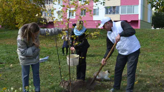 Начало «Зеленой Волны»: новая аллея в Нижнекамске
