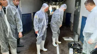 Под Челябинском рабочие задохнулись, убирая свинокомплекс и умерли: директора фирмы осудили