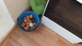 В Нижнекамске полиция в течение суток раскрыла разбойное нападение