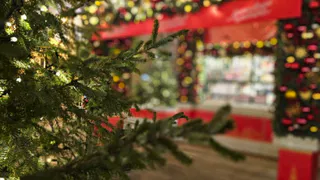 Нижнекамск готовится к Новому году: на праздничное украшение города выделили 4,2 млн рублей