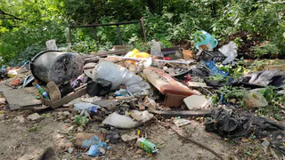 Мэрия Рязани сообщила о планах по уборке свалки вдоль «пьяной дороги»