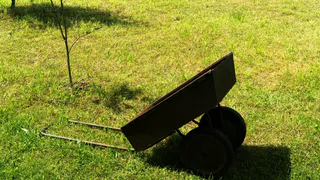 Кожура – и никакая химия не нужна: как картофельные очистки творят волшебство на грядках