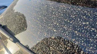 Названы регионы, на которые прольются «ржавые» дожди