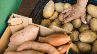 Картофельный бум вам обеспечен: положите это в каждую лунку перед посадкой