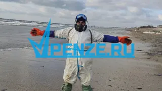 «Помогая другим, мы помогаем себе в первую очередь»: волонтер из Пензы – о ЧС в Анапе и спасении птиц