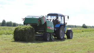 Глава Коми поздравил аграриев с их профессиональным праздником