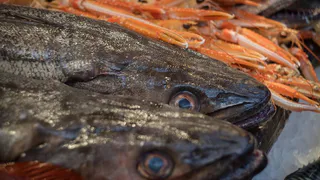 Эта рыба кишит паразитами: мы ее подаем на стол и даем детям. В ней нашли 10-метровых червей