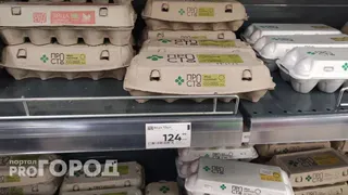 Росптицесоюз: после импорта яиц из Турции цена на них не упадет