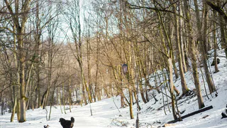 Снежные скульптуры украсят Экологический парк Магнитогорска: стартует конкурс в честь Дня снега
