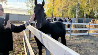 Будет ли развиваться сельский туризм во Владимирской области?