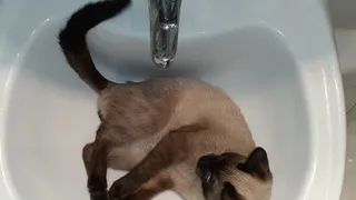 Список адресов: во вторник на двух улицах Рязани не будет воды