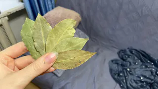 Кладу лавровый лист под подушку и восхищаюсь эффектом: совет от бабушки, который нужно запомнить навсегда