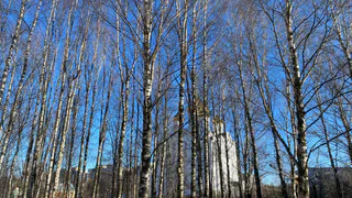 14 апреля Коми вновь ждут погодные качели: от -13°C со снегом до +15°C с солнцем