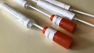 Коронавирусные сводки: в области по прежнему 17 больных