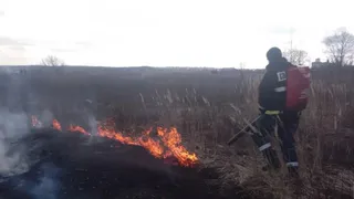 В районе Дмитриевской слободы у Клязьмы потушили природный пожар