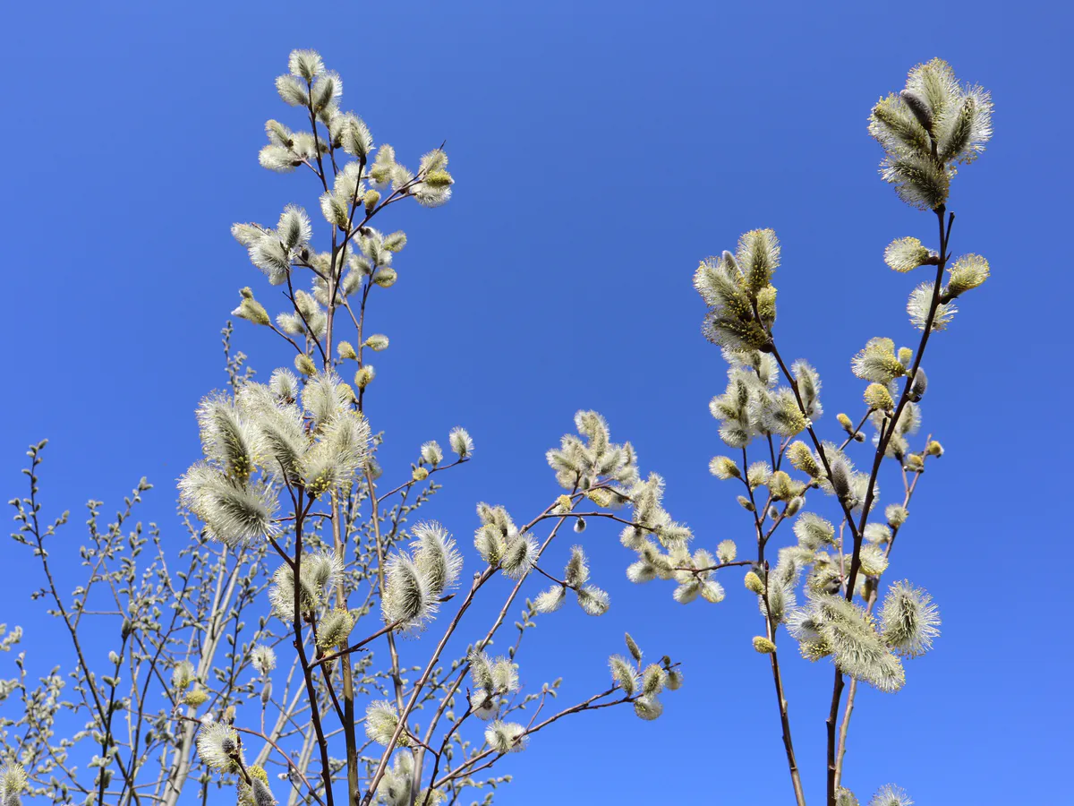 Погода в Челябинской области и Магнитогорске на 4 апреля: похолодание и усиление ветра