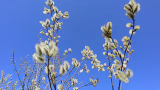 Тепло и смог: Южный Урал накрыло антициклоном с опасными последствиями