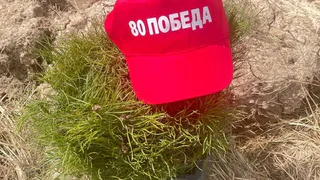 Во Владимирской области высадили 450 тысяч деревьев в рамках акции «Сад памяти»