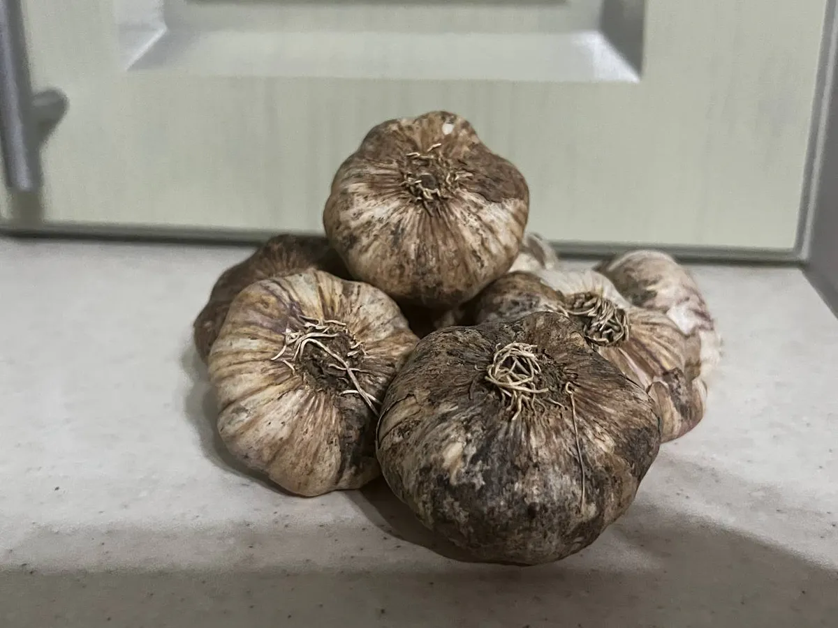 Свежий чесночок на столе круглый год — запихнула и забыла: хранится на ура хоть 100 лет

