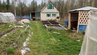 Мешок в угол – погреб сухой как Сахара: ни намека на конденсата – потом и в огороде пригодится