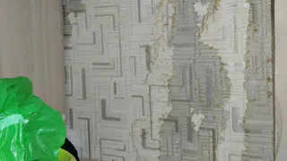 Квартиры нижнекамцев топит каждую весну 